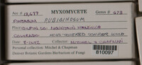 Image Associated With the Occurence